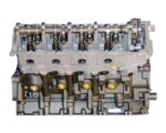 VEGE Remanufactured Long Block Crate Engines DDF8 - Image 4