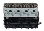 VEGE Remanufactured Long Block Crate Engines DCTF - Image 4